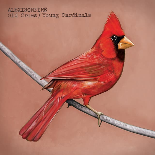 Album cover art for Old Crows Young Cardinals