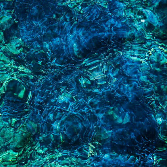 Album cover art for Luminescent Creatures