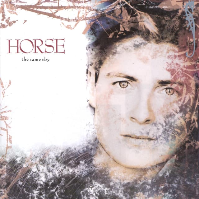 Album cover art for The Same Sky