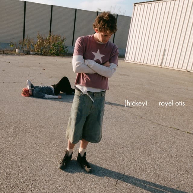 Album cover art for Hickey