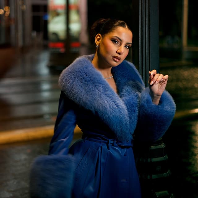 Album cover art for Princesse de la nuit