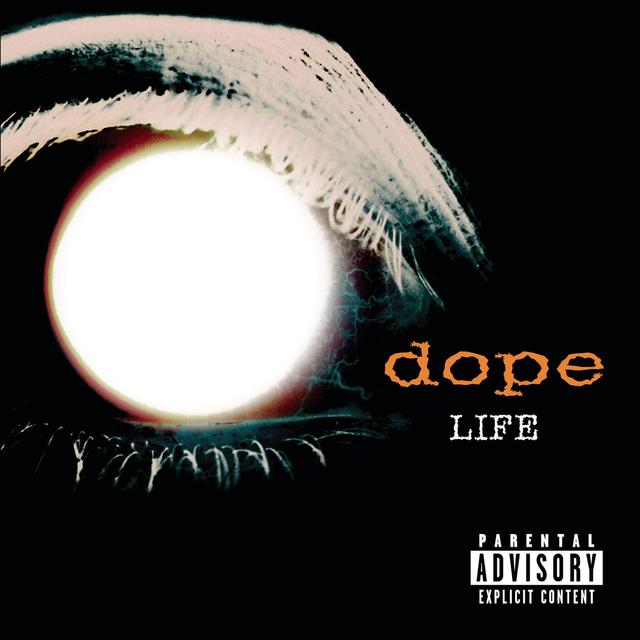 Album cover art for Life