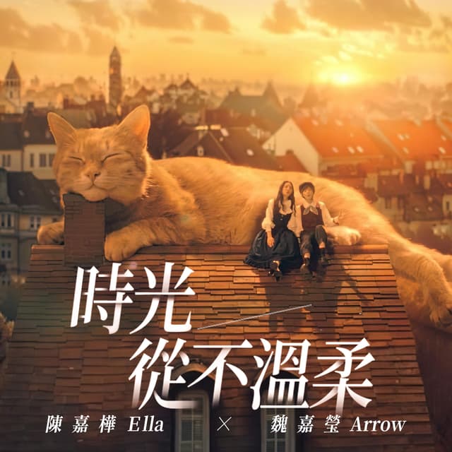 Album cover art for 時光從不溫柔