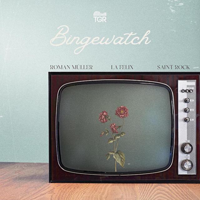 Album cover art for Bingewatch