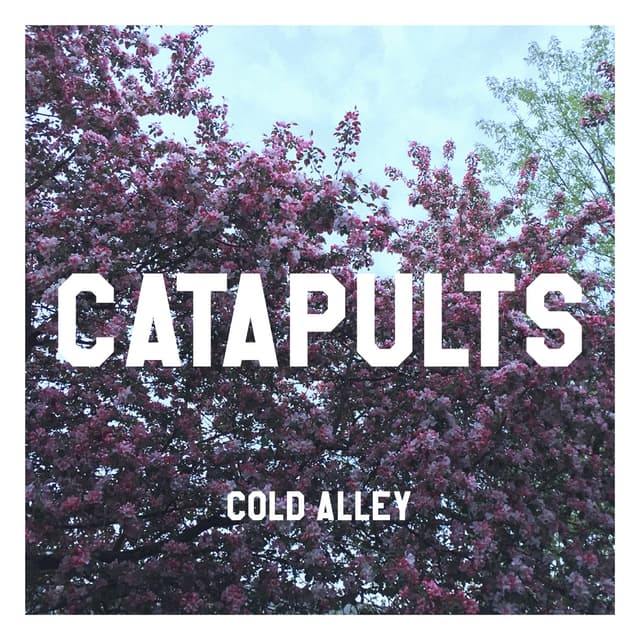 Album cover art for Cold Alley