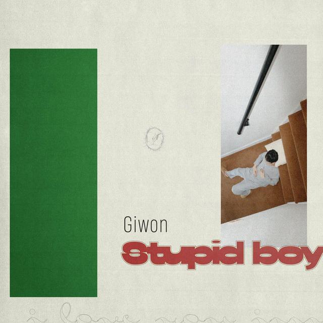 Album cover art for Stupid boy