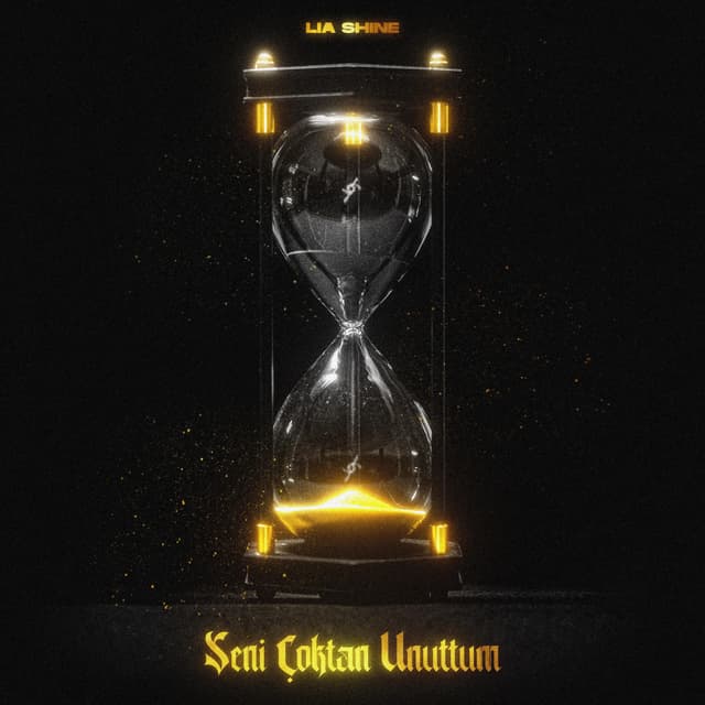 Album cover art for Seni Çoktan Unuttum