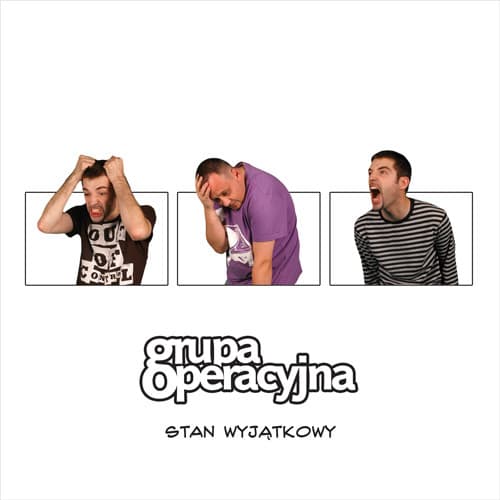 Album cover art for Stan wyjątkowy