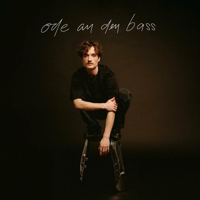 Album cover art for Ode an den Bass