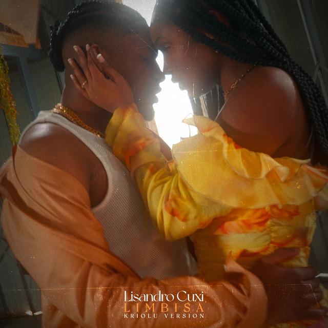 Album cover art for Limbisa