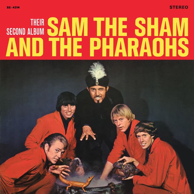 Album cover art for Their Second Album