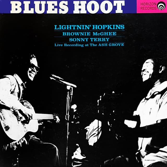 Album cover art for Blues Hoot