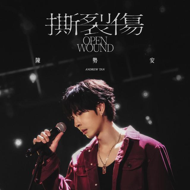 Album cover art for 撕裂傷