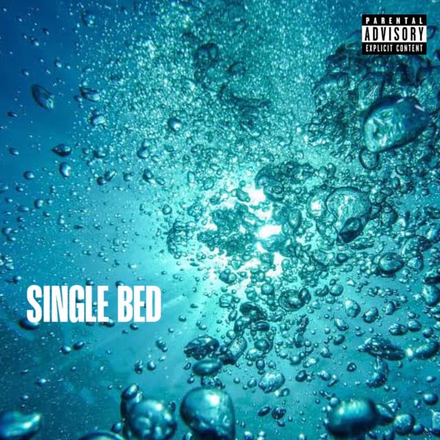 Album cover art for Single Bed