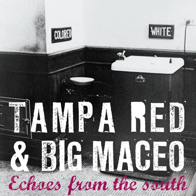 Album cover art for Echoes From The South