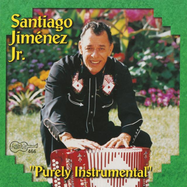 Album cover art for Purely Instrumental