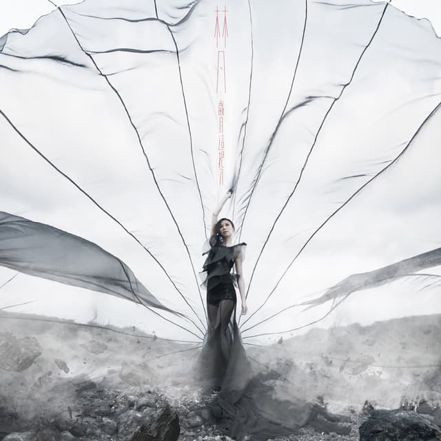 Album cover art for 歲月這把刀