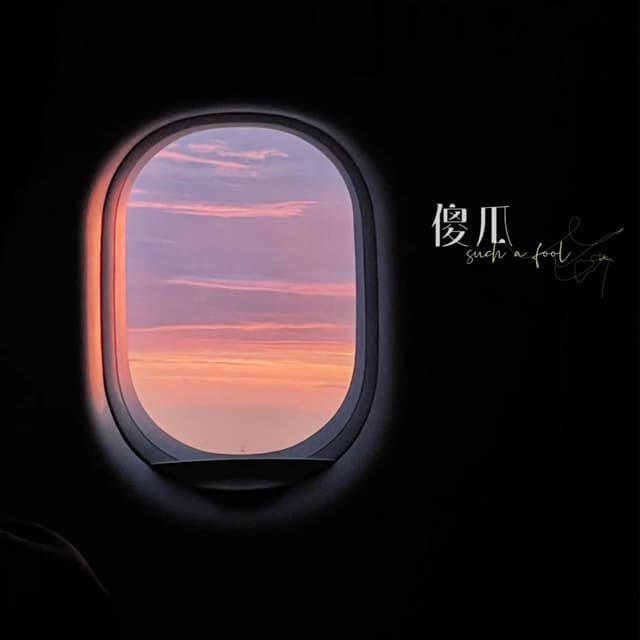 Album cover art for 傻瓜