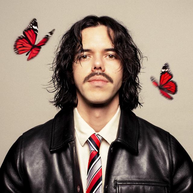 Album cover art for Les papillons dorment en hiver