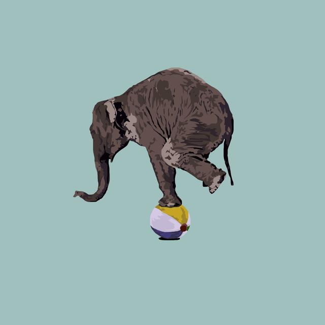 Album cover art for Elephants