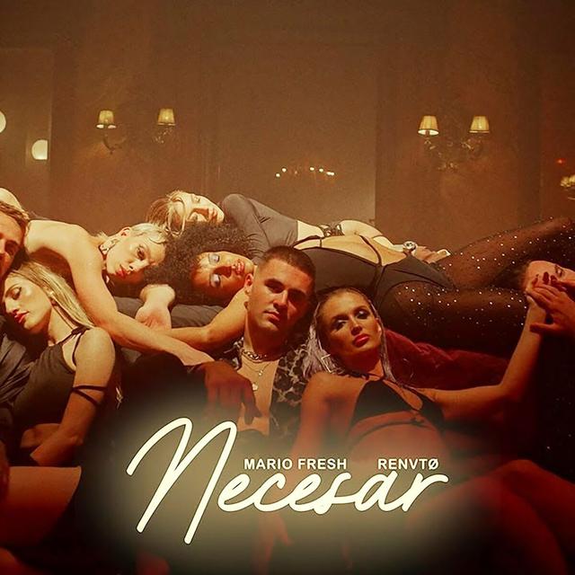 Album cover art for Necesar