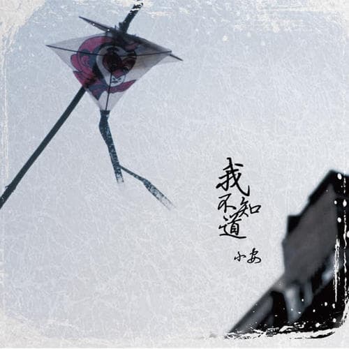 Album cover art for 我不知道
