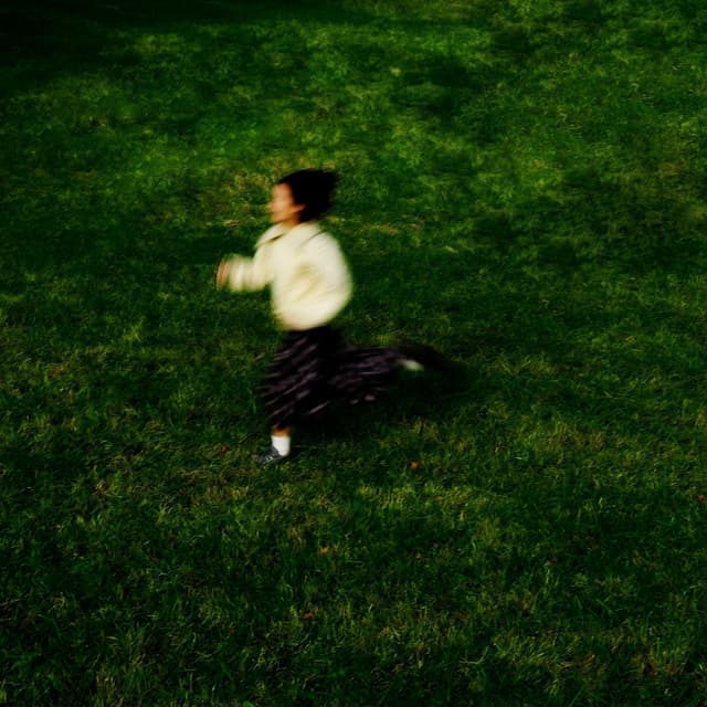 Album cover art for The Compass