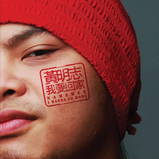 Album cover art for 我要回家