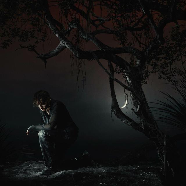 Album cover art for IF I HAD YOU...