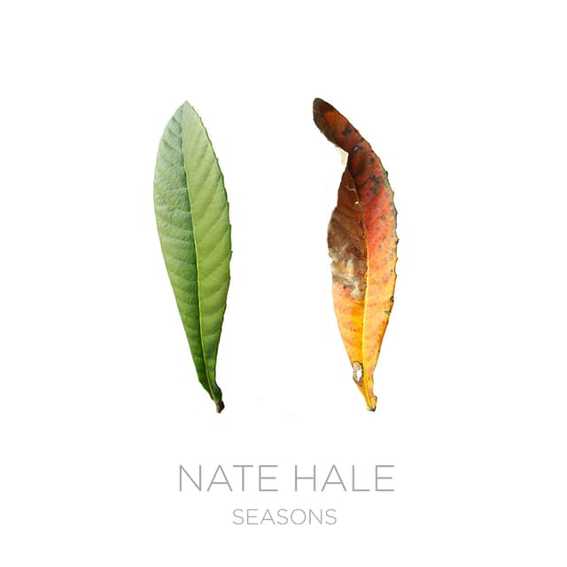 Album cover art for Seasons
