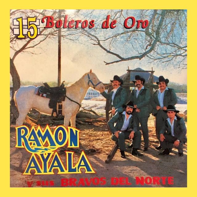 Album cover art for 15 Boleros De Oro