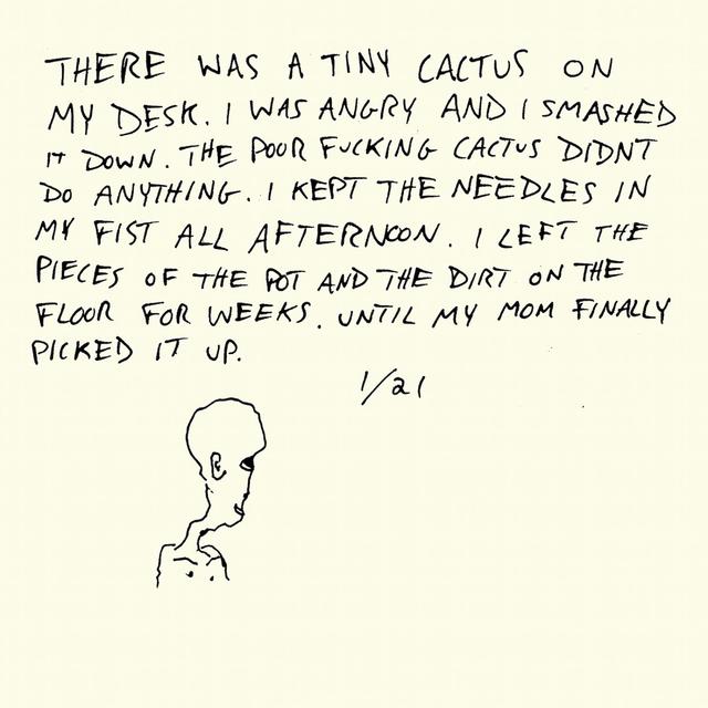 Album cover art for Horse Jumper of Love