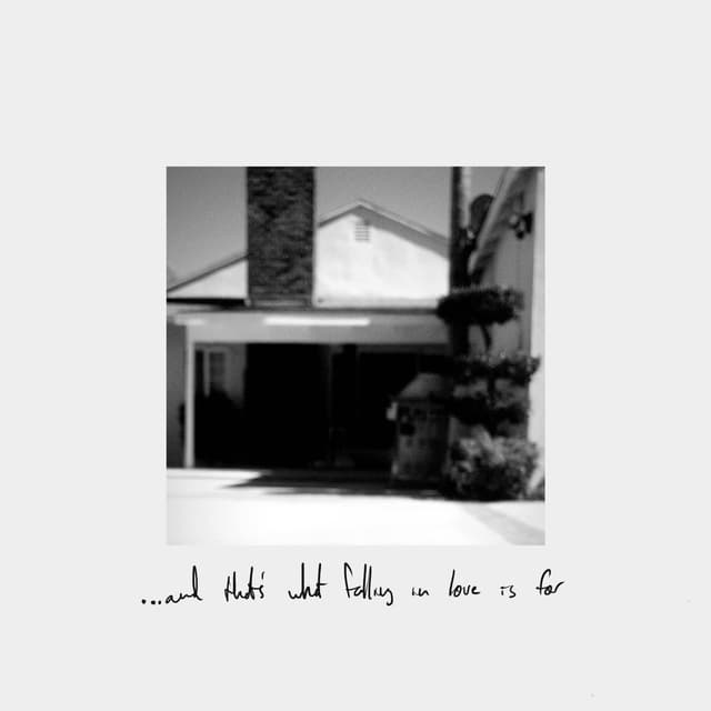 Album cover art for What Falling in Love Is For