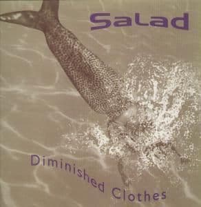 Album cover art for Diminished Clothes