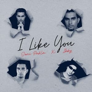 Album cover art for I Like You