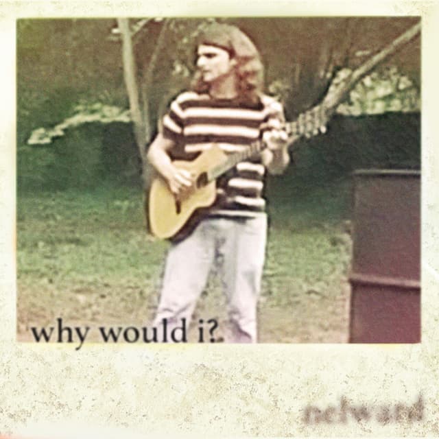Album cover art for Why Would I?