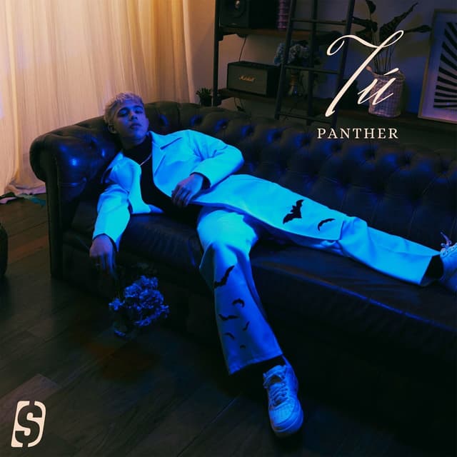 Album cover art for Tú