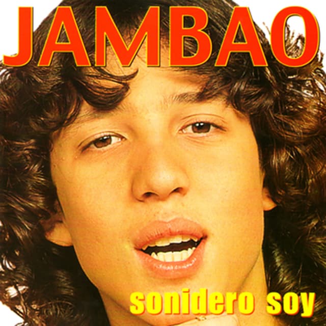 Album cover art for Sonidero Soy