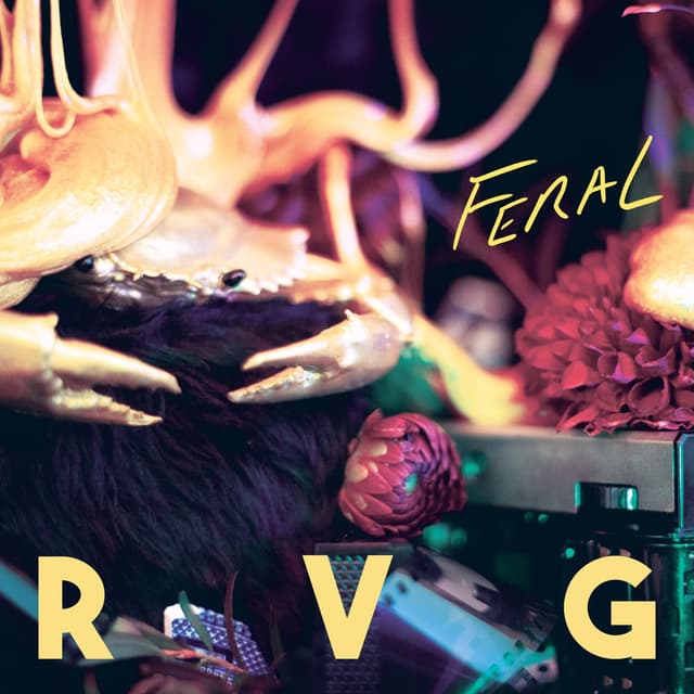Album cover art for Feral