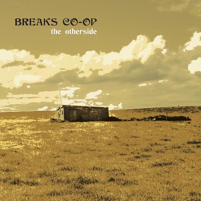 Album cover art for The Otherside