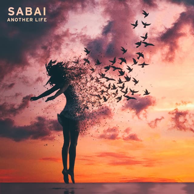 Album cover art for Another Life