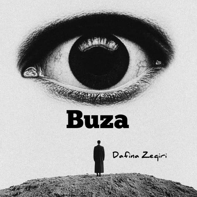 Album cover art for Buza