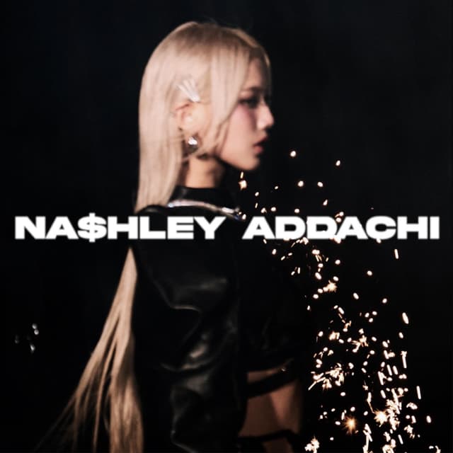 Album cover art for Na$hley ADDachi pt.01 (The Intro)