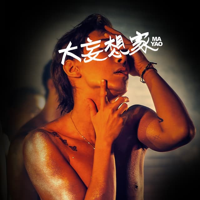Album cover art for 大妄想家