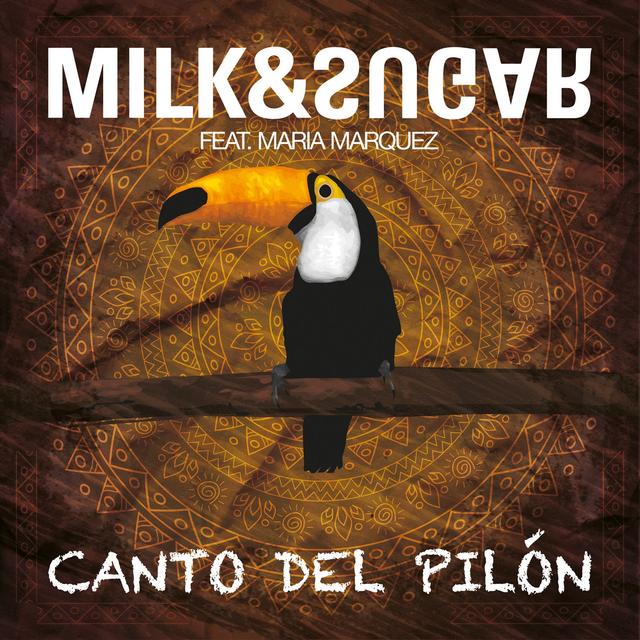 Album cover art for Canto Del Pilón