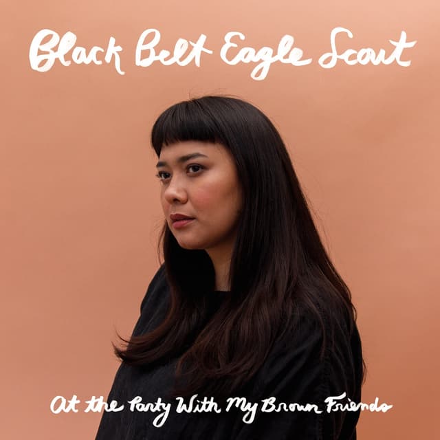 Album cover art for At the Party With My Brown Friends