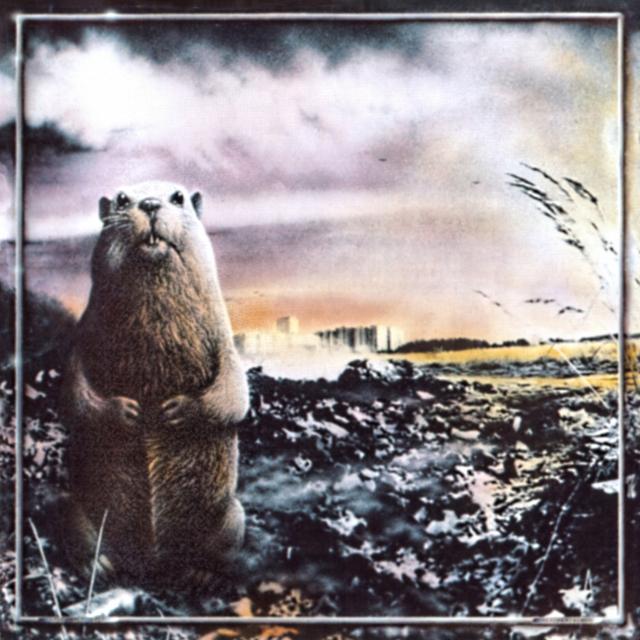 Album cover art for Брёл, брёл, брёл