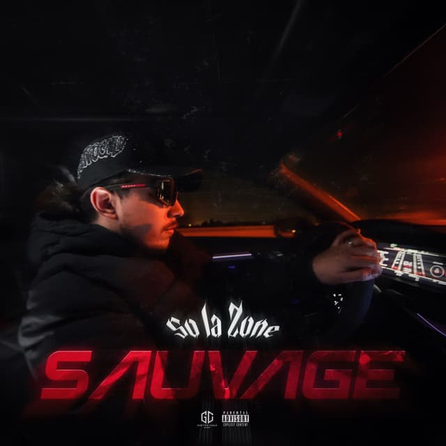 Album cover art for Sauvage