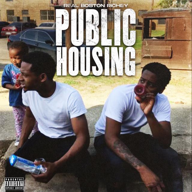 Album cover art for Public Housing