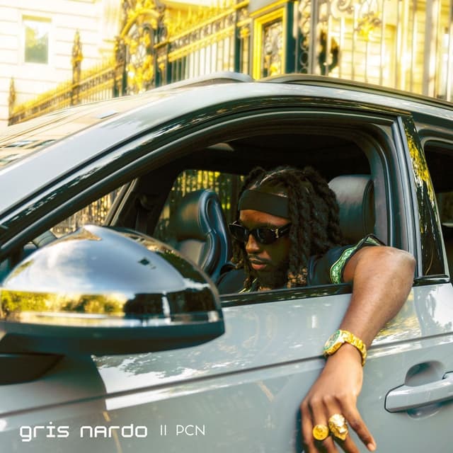 Album cover art for GRIS NARDO